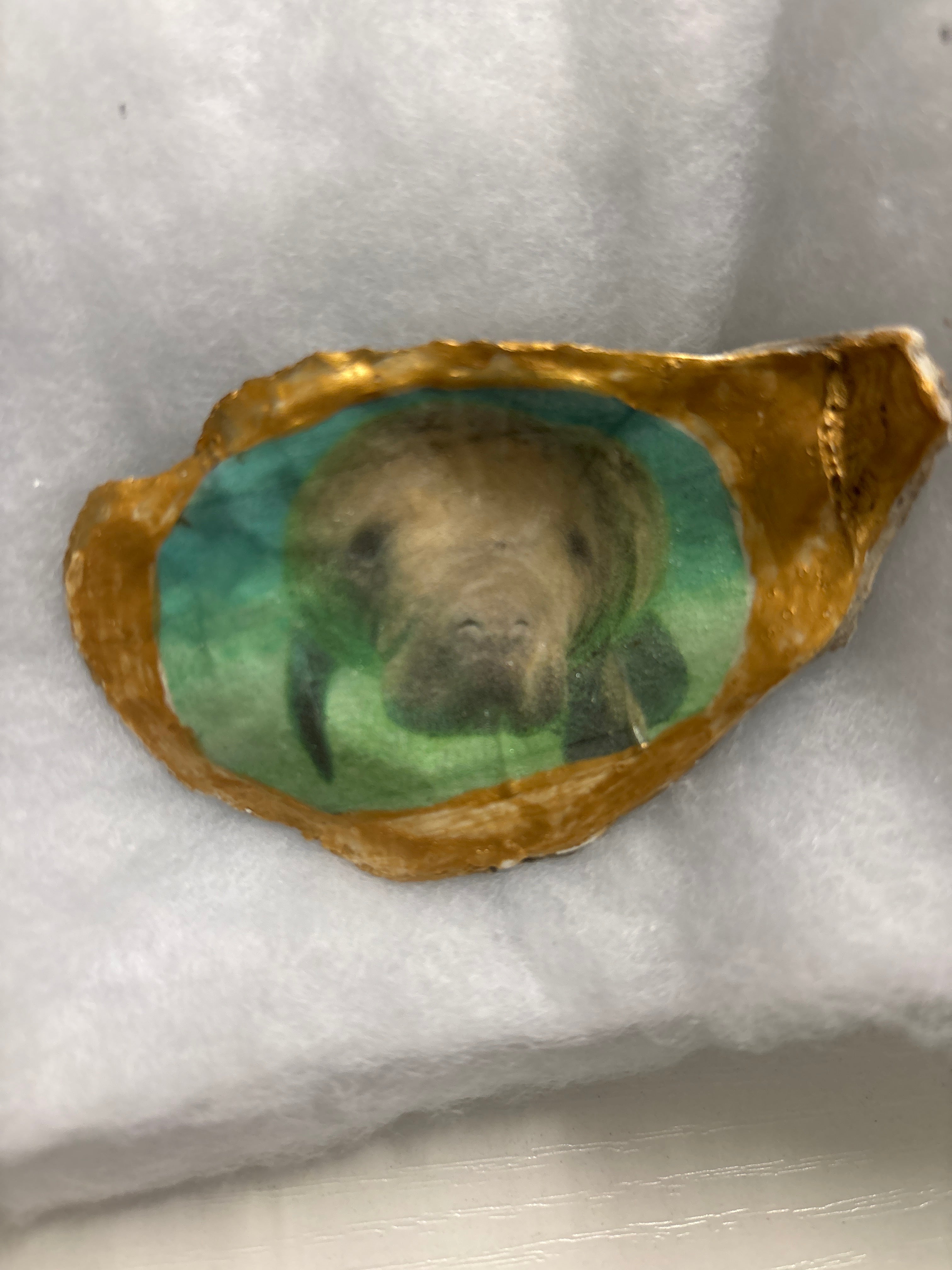 Hand Decoupaged and Painted Oyster Shells