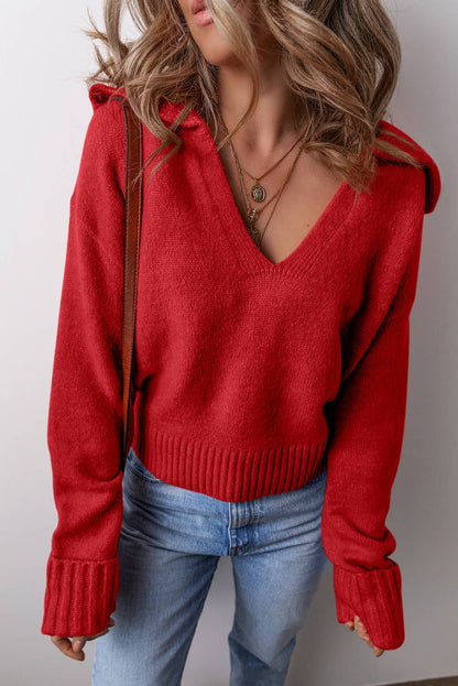 Little Daisy Closet -  LDC Collared V Neck Ribbed Edge Sexy Elegant Sweater